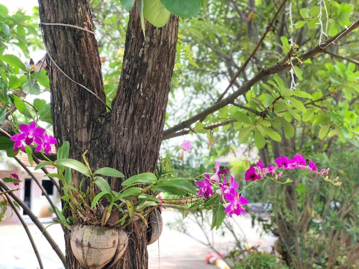 โซดา รีสอร์ท  กำแพงเพชร ภายนอก รูปภาพ